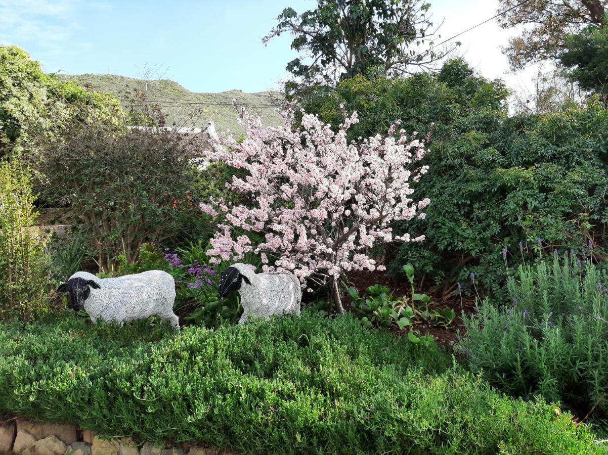 Over Karoo Inn بارديل المظهر الخارجي الصورة